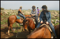 North Israel groups