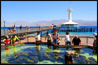 Eilat Underwater Observatory