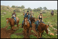 Tour Guide Tiberias